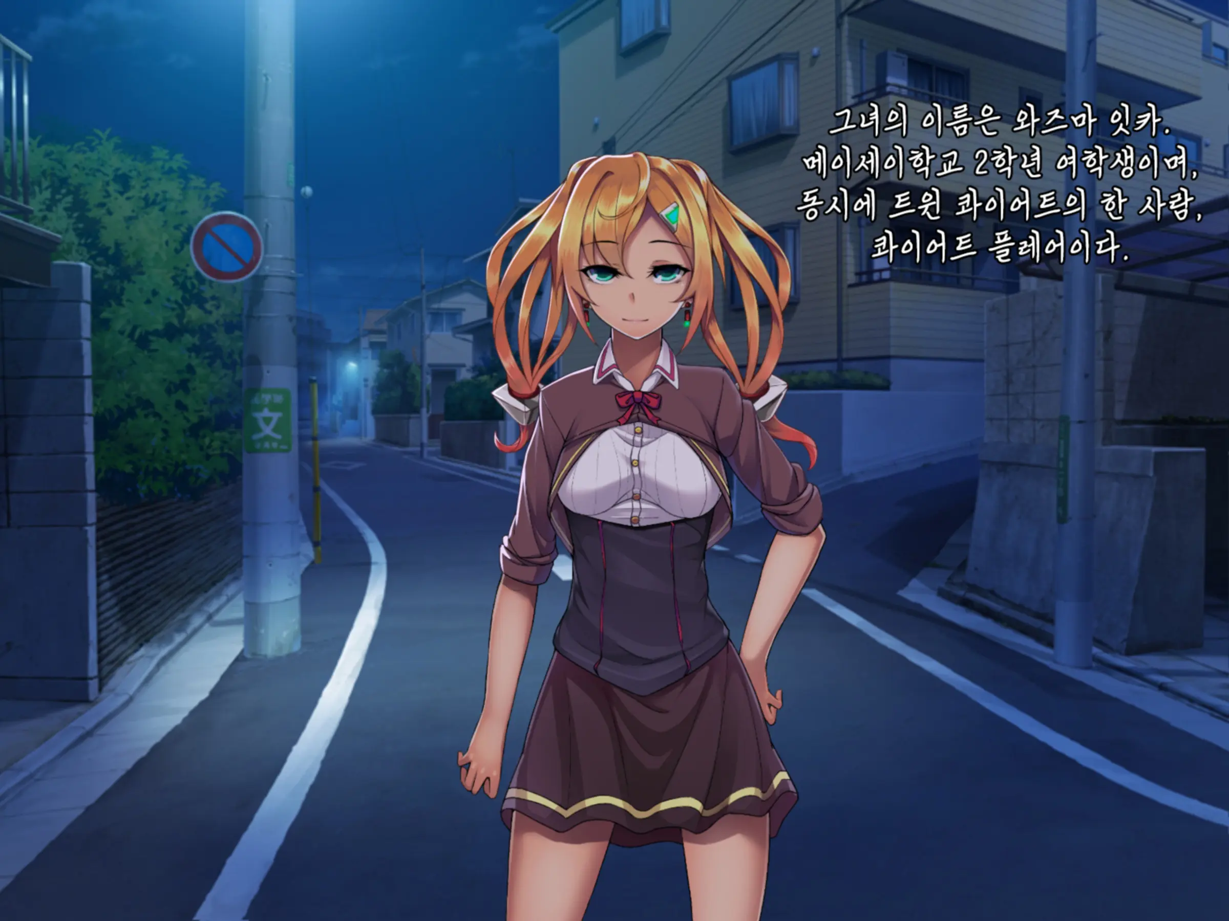 Twin Quiet -Shinsou Sennou Yugamerareta Seigi- | 트윈 콰이어트 -심층세뇌 왜곡당한 정의-